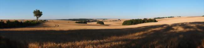 Environs de Le Plessier-Huleu - Crédits: Omois/Panoramio/CC by SA