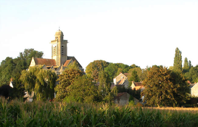 Le clocher de l'église (avec son dôme si particulier dans la région) domine la verdure - Saint-Rémy-Blanzy (02210) - Aisne