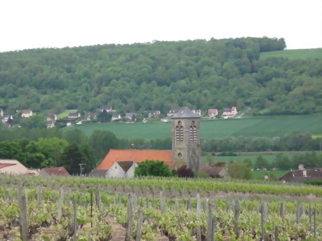 Vignobles et église Saint-Sébastien de Saulchery - Saulchery (02310) - Aisne