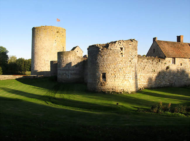 Le château de Nesles, vu du côté du fossé sec - Seringes-et-Nesles (02130) - Aisne