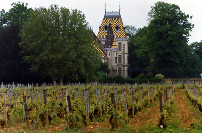 Domaine viticole du château de Corton André, avec tuile vernissée de Bourgogne, à Aloxe-Corton - Aloxe-Corton (21420) - Côte-d'Or