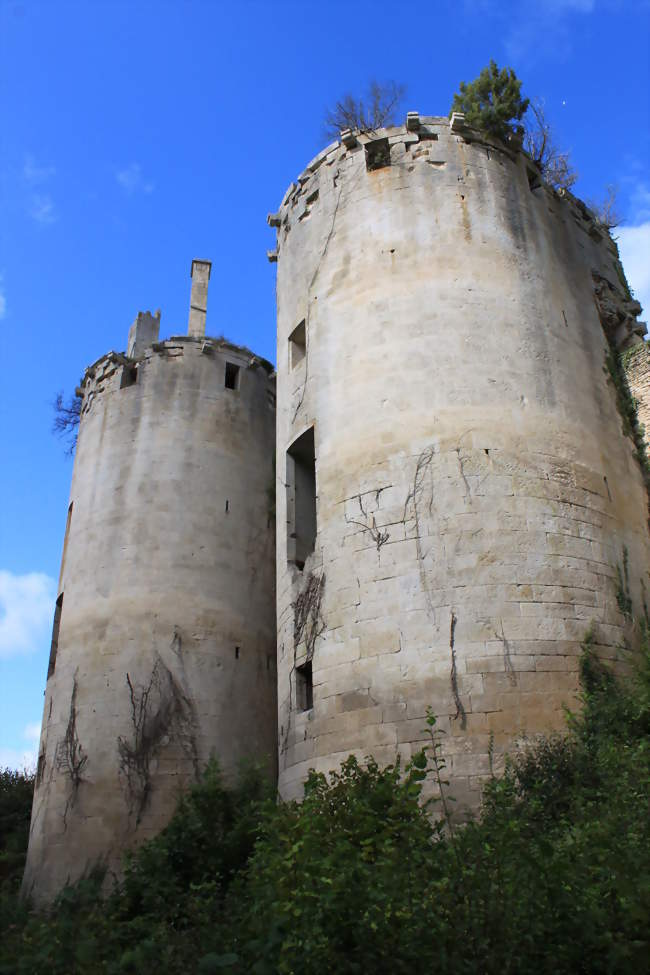 Château de Rochefort sur la commune d'Asnières-en-Montagne - Asnières-en-Montagne (21500) - Côte-d'Or