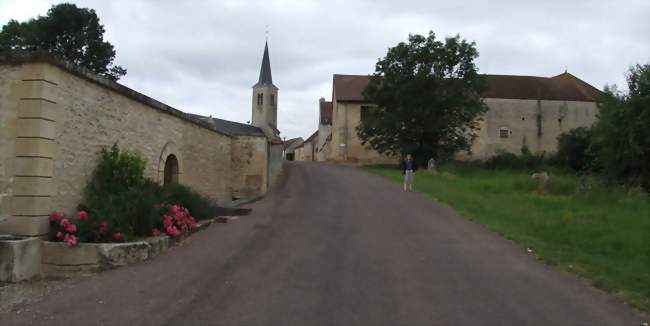 Pavage d'une allée