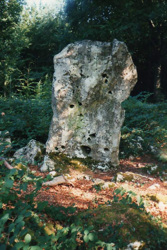Menhir Le Cheval gris à Chambain - Chambain (21290) - Côte-d'Or