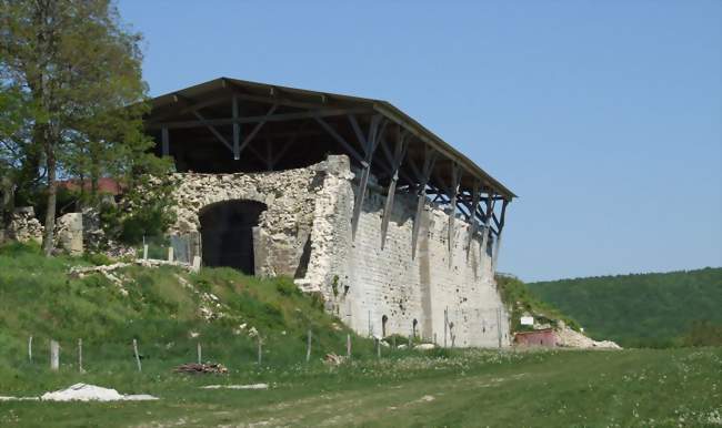 Ruines du monastère Saint-Vivant de Vergy - Curtil-Vergy (21220) - Côte-d'Or