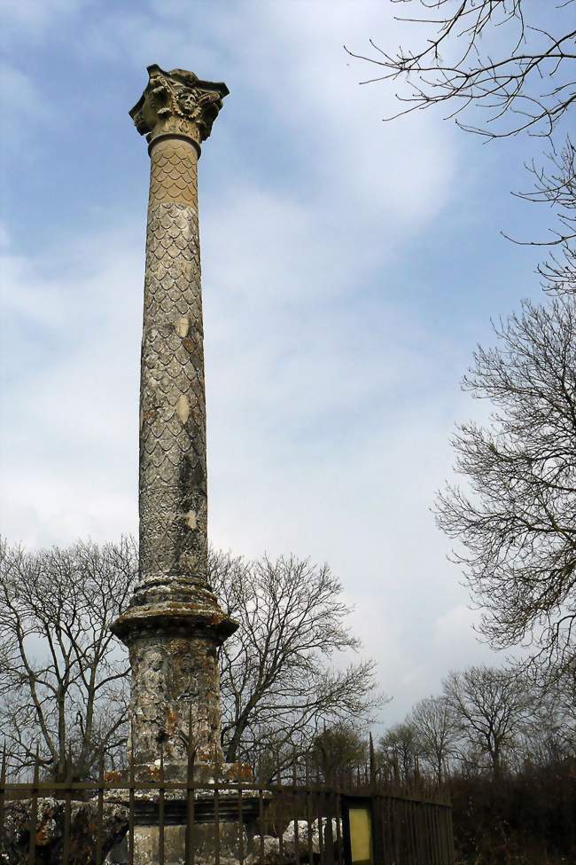 La colonne romaine de Cussy - Cussy-la-Colonne (21360) - Côte-d'Or