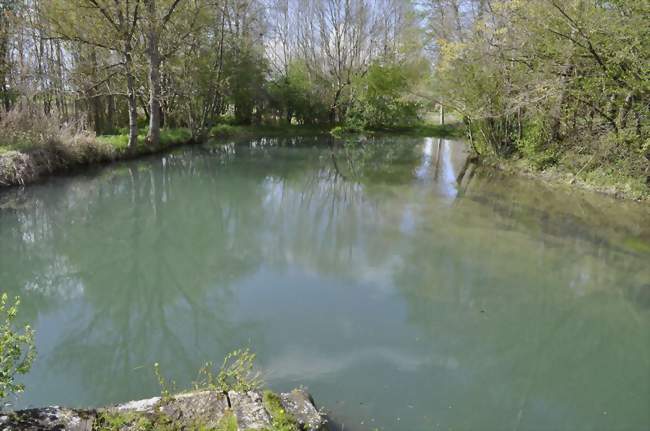 Confluence de la Bèze et de l'Alban à Drambon - Drambon (21270) - Côte-d'Or