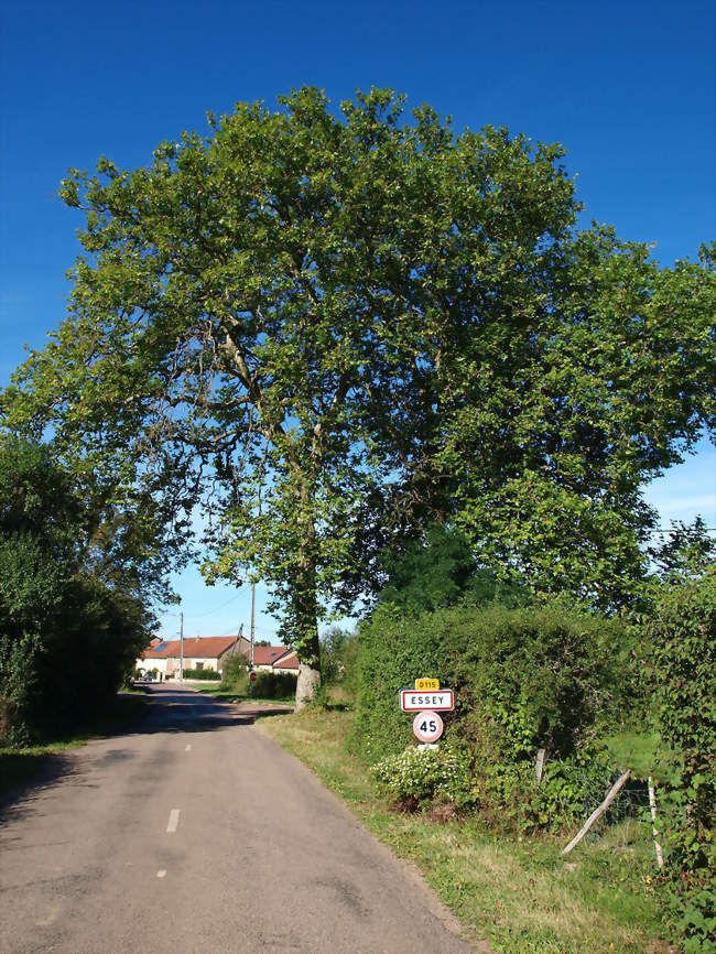 L'entrée du village et le panneau d'agglomération - Essey (21320) - Côte-d'Or