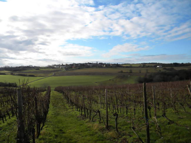 Vue du village - Fussey (21700) - Côte-d'Or