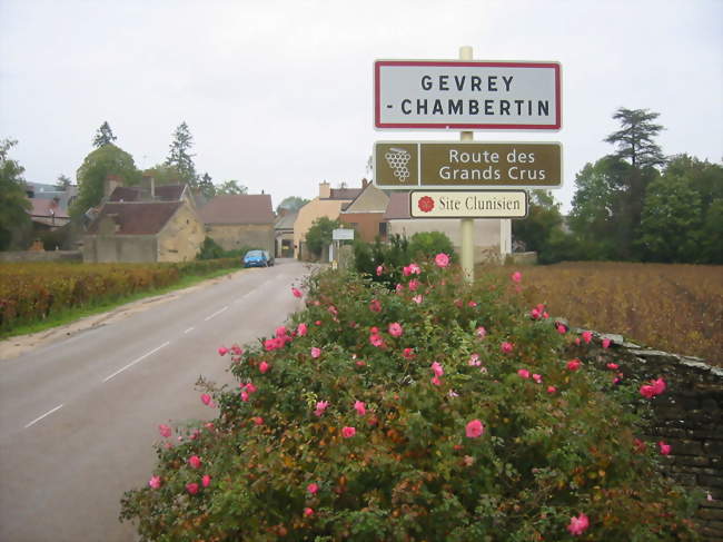 Gevrey-Chambertin - Gevrey-Chambertin (21220) - Côte-d'Or