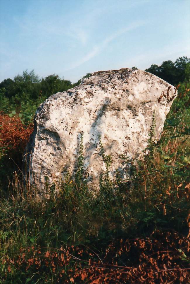 Menhir de la Pierre-qui-Vire à Gurgy-le-Château - Gurgy-le-Château (21290) - Côte-d'Or