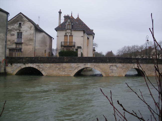 L'Ignon en centre ville - Is-sur-Tille (21120) - Côte-d'Or