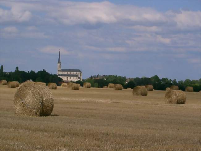 Labergement-lès-Seurre - Labergement-lès-Seurre (21820) - Côte-d'Or