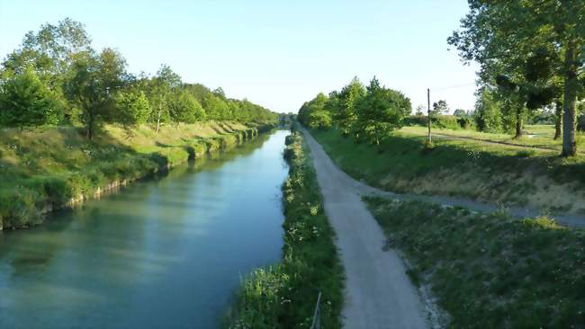 Canal de la Saône à la Marne vue du pont de Maxilly sur Saône - Maxilly-sur-Saône (21270) - Côte-d'Or