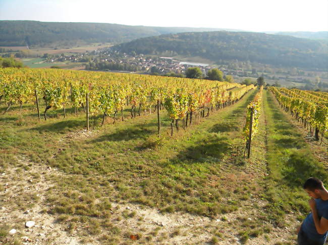 Vue du village à partir des côteaux - Meuilley (21700) - Côte-d'Or