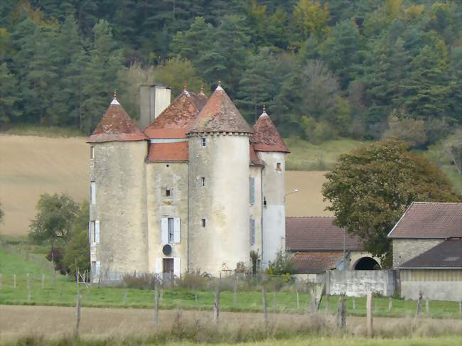 Le château de Mosson - Mosson (21400) - Côte-d'Or