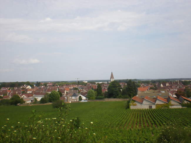 Trott’en Vigne