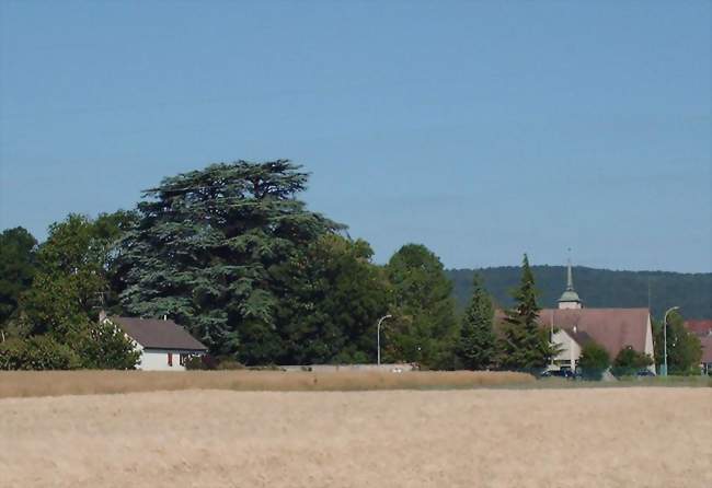 Perrigny-lès-Dijon - Perrigny-lès-Dijon (21160) - Côte-d'Or