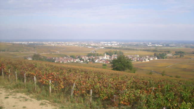 Vue de Pommard - Pommard (21630) - Côte-d'Or