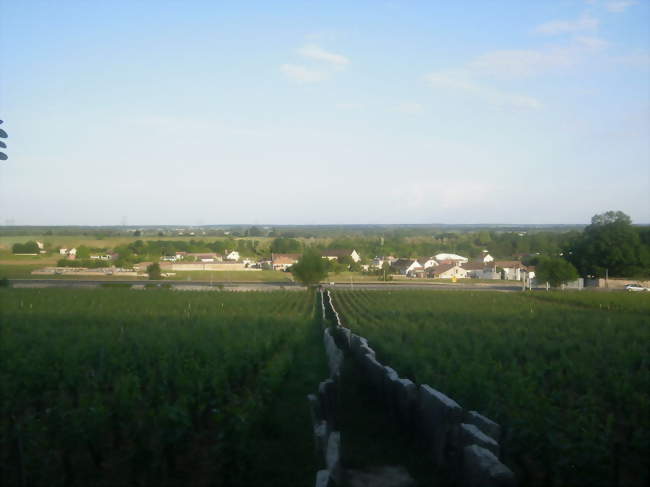 Point de vue de la partie nord du village de Premeaux-Prissey Photo prise depuis le calvaire du Clos des Corvées - Premeaux-Prissey (21700) - Côte-d'Or