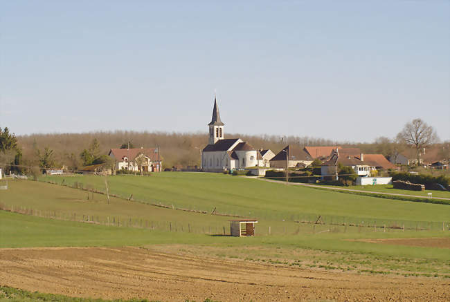 Samerey, depuis la Rue du Pâtis - Samerey (21170) - Côte-d'Or