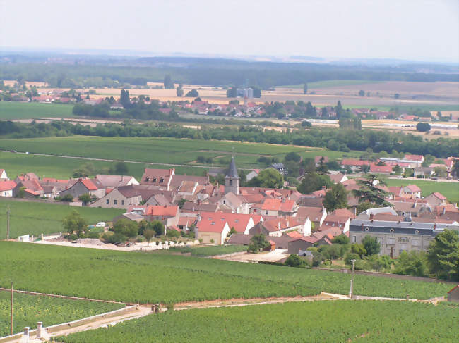 Vosne-Romanée - Vosne-Romanée (21700) - Côte-d'Or