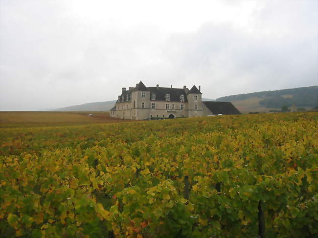 Le château du Clos de Vougeot - Vougeot (21640) - Côte-d'Or