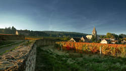 photo Festival Musique au Chambertin - Folklores “Latinos”