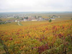 photo Musique au Chambertin - Musique et cinéma