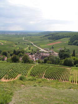 Le Parcours des Tréteaux 2024 - Les Contes des Mille et Une Vignes