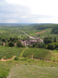 photo Pernand-Vergelesses