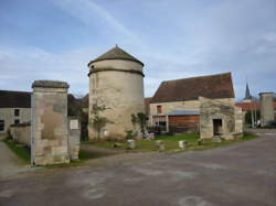 photo Senailly