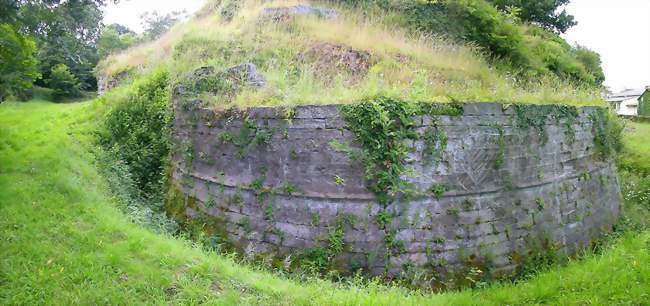 Ruines du château de la Chèze - La Chèze (22210) - Côtes-d'Armor