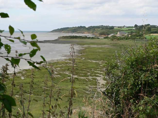 Découverte des dunes de Bon-Abri et de la biodiversité du littoral