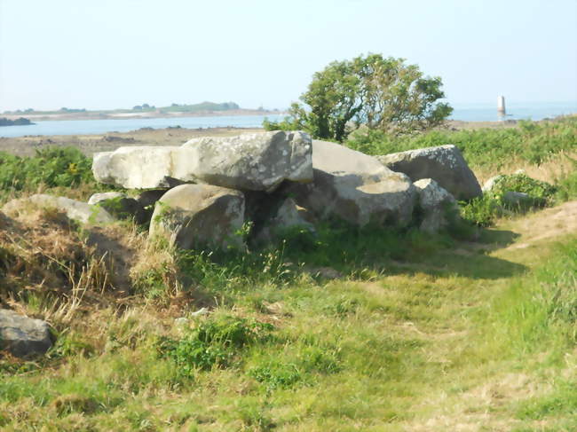 Allée couverte de Men-ar-Rumpet - Kerbors (22610) - Côtes-d'Armor