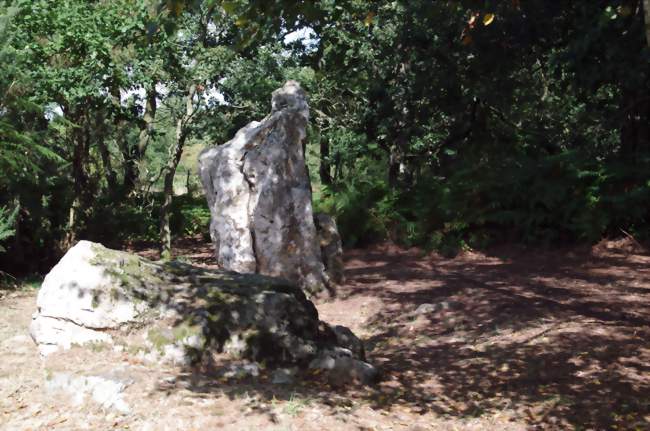 Le site mégalithique de la Lande du Gras - Meslin (22400) - Côtes-d'Armor