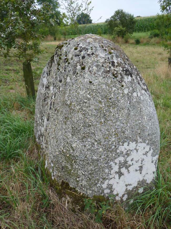 Le menhir du Petit Vauridel - Plaintel (22940) - Côtes-d'Armor