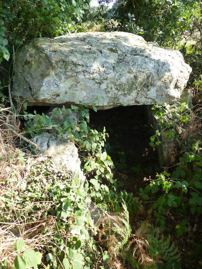 L'allée couverte de La Roche aux Fées de la Brousse - Plénée-Jugon (22640) - Côtes-d'Armor