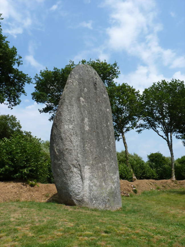 Le menhir de Cailouan - Plésidy (22720) - Côtes-d'Armor
