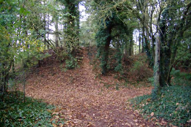 Tumulus de la Tour Basse - Plorec-sur-Arguenon (22130) - Côtes-d'Armor