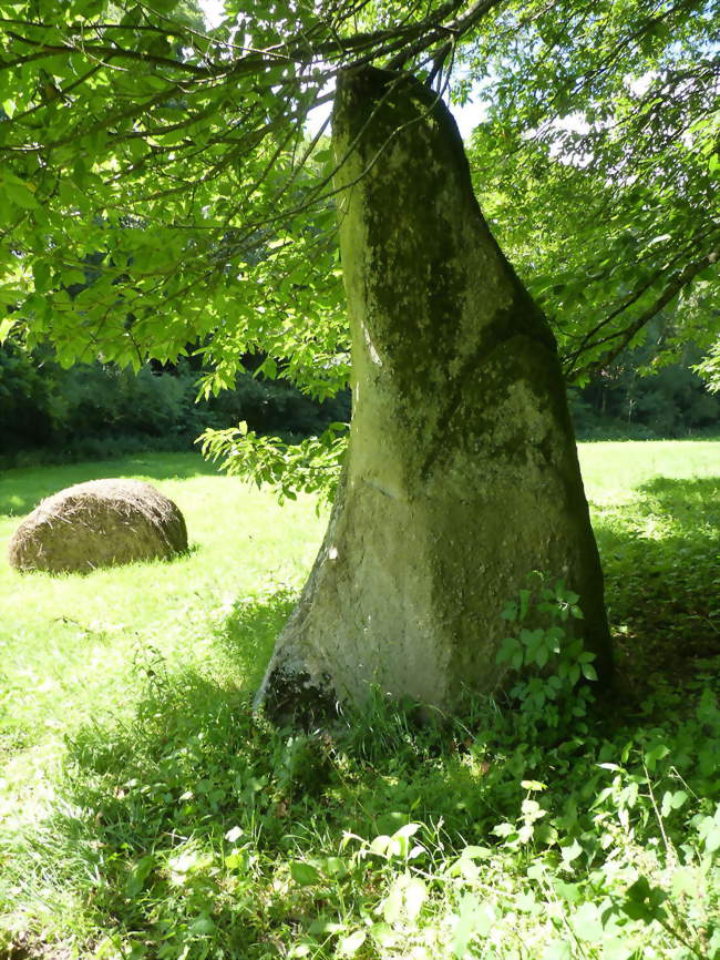 Le menhir du Pré de Camet - Plouvara (22170) - Côtes-d'Armor