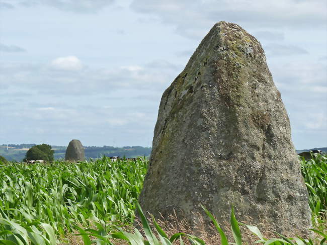 Le menhir de Keranhouët - Saint-Gildas (22800) - Côtes-d'Armor