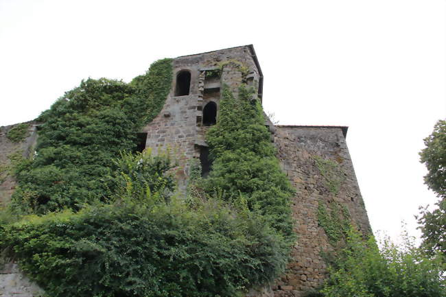 Les vestiges du château de Coëtquen - Saint-Hélen (22100) - Côtes-d'Armor