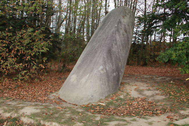 Le menhir de la Tremblais - Saint-Samson-sur-Rance (22100) - Côtes-d'Armor
