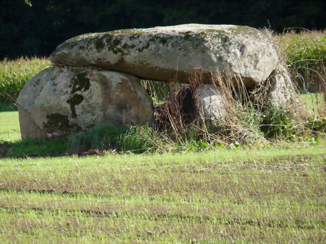 Le dolmen de Pasquiou - Le Vieux-Bourg (22800) - Côtes-d'Armor
