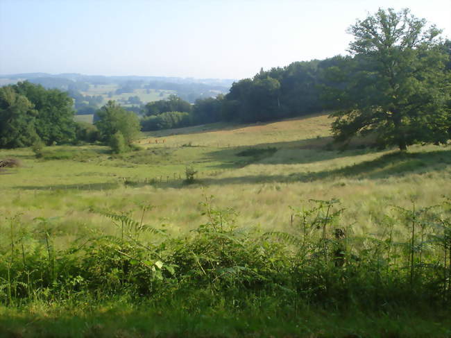 Paysage aux environs de Chamborand - Chamborand (23240) - Creuse