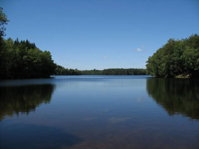 Faux-la-Montagne - Faux-la-Montagne (23340) - Creuse