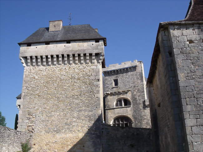 Le château d'Ajat - Ajat (24210) - Dordogne