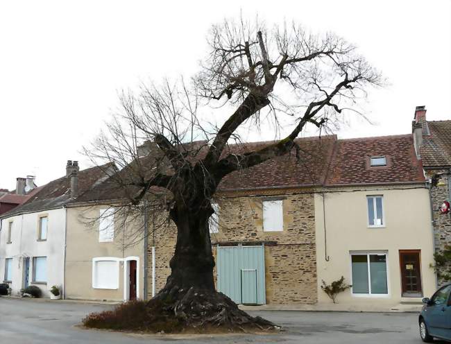 La place du bourg d'Angoisse - Angoisse (24270) - Dordogne