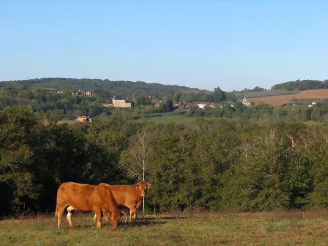 Au loin, le village d'Anlhiac - Anlhiac (24160) - Dordogne